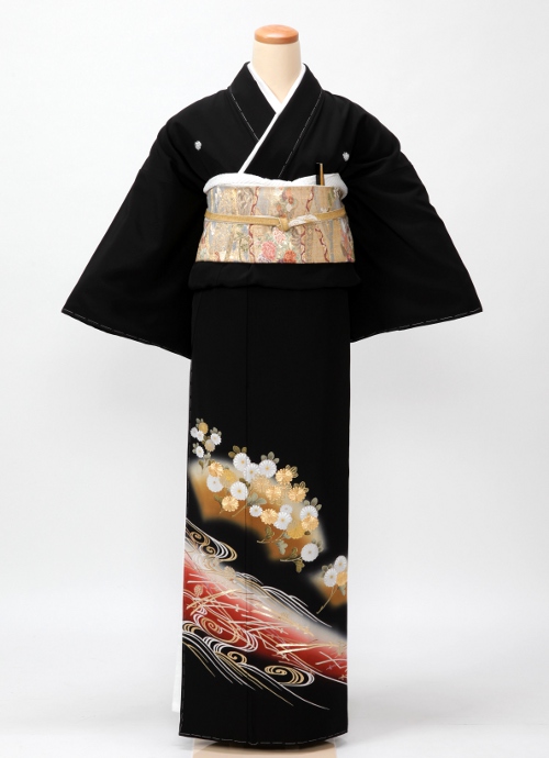 観世水　ぼかし地紙に菊（M）